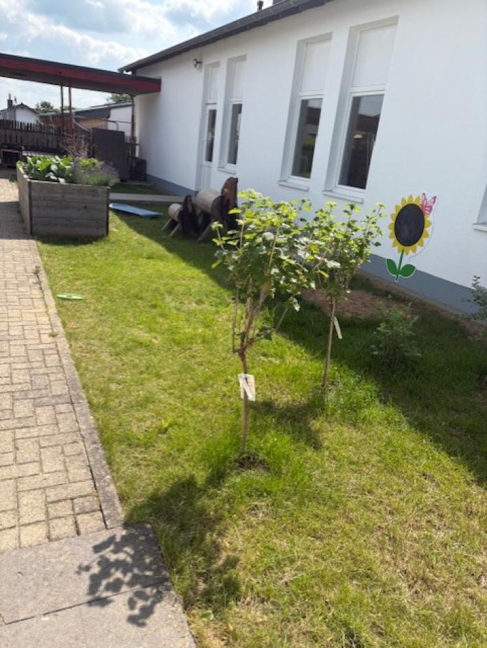 Foto 14, Kita Bergheim