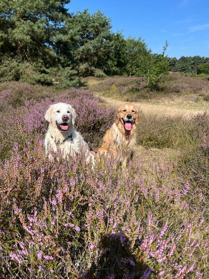 Foto 27, Kita Pusteblume